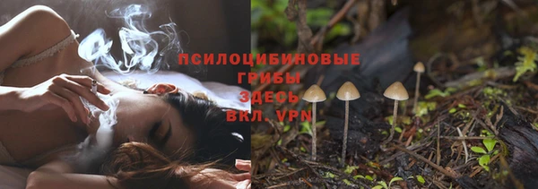 PSILOCYBIN Балахна