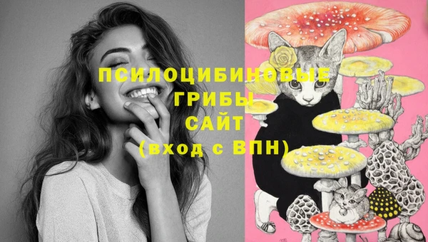 гашишное масло Новозыбков