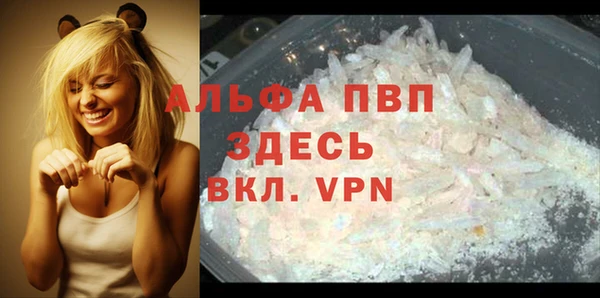 прущие грибы Алапаевск