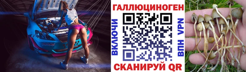 Галлюциногенные грибы прущие грибы  Нахабино 